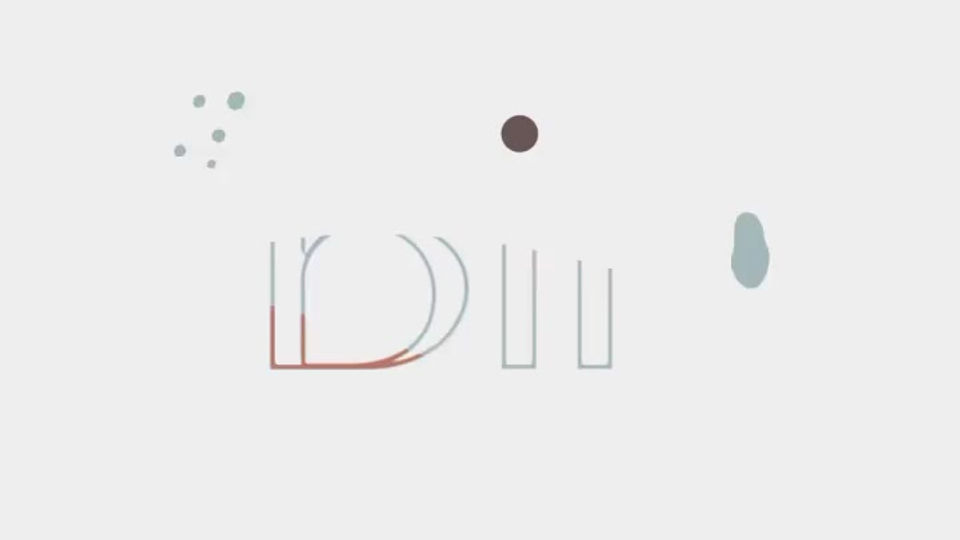 www.bir.org tanıtım videosu